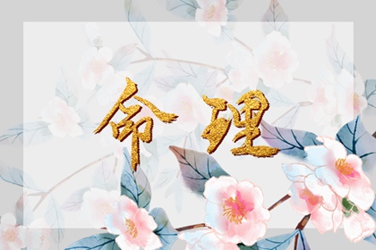 择日子|择吉日历|择吉老皇历